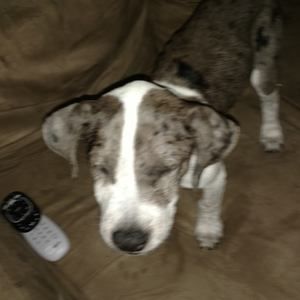 Meet your Posher, Ethan